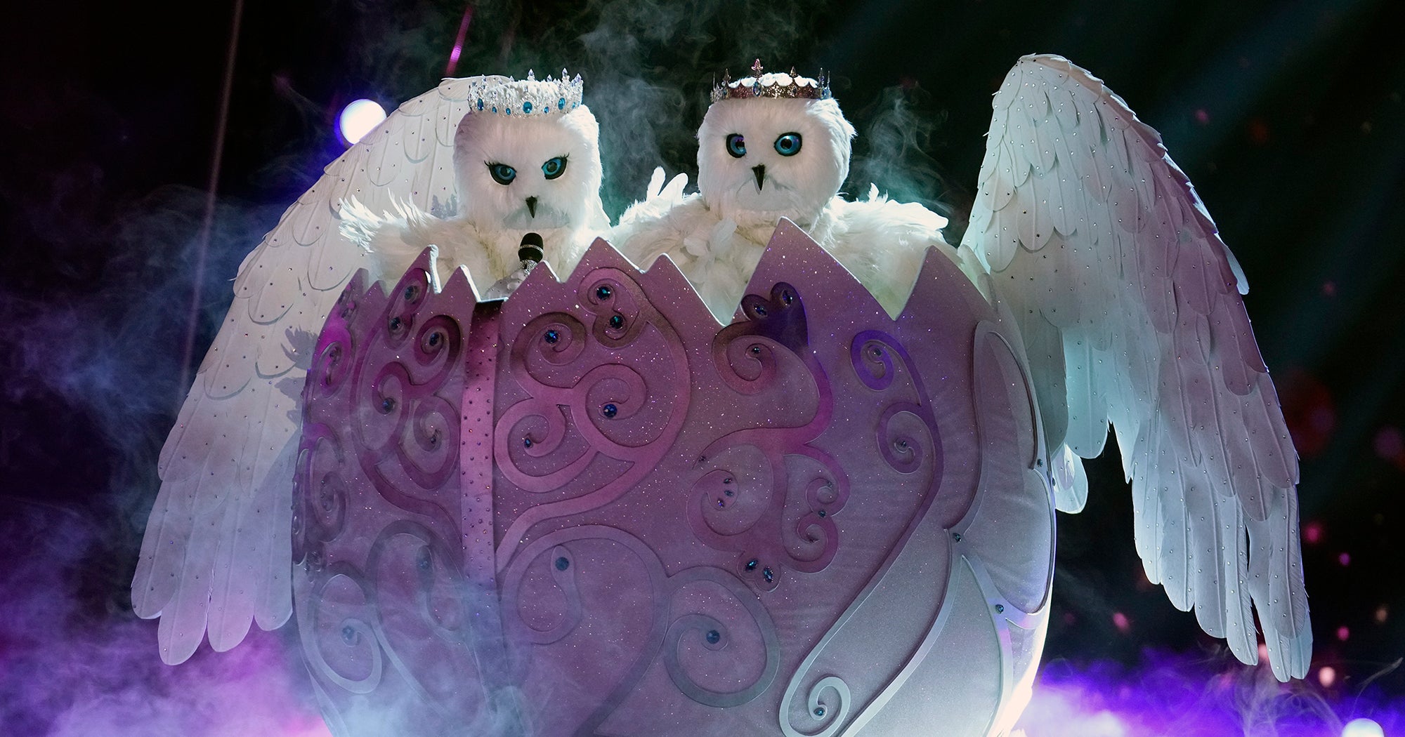 which-male-female-singing-duo-is-behind-the-snow-owls