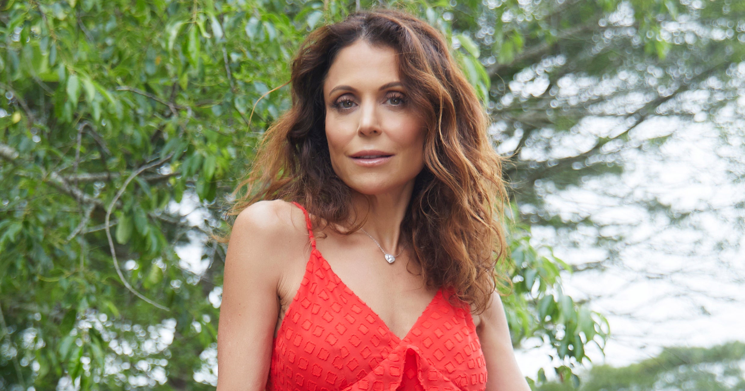 Bethenny Frankel Relationship, Career Before Housewives