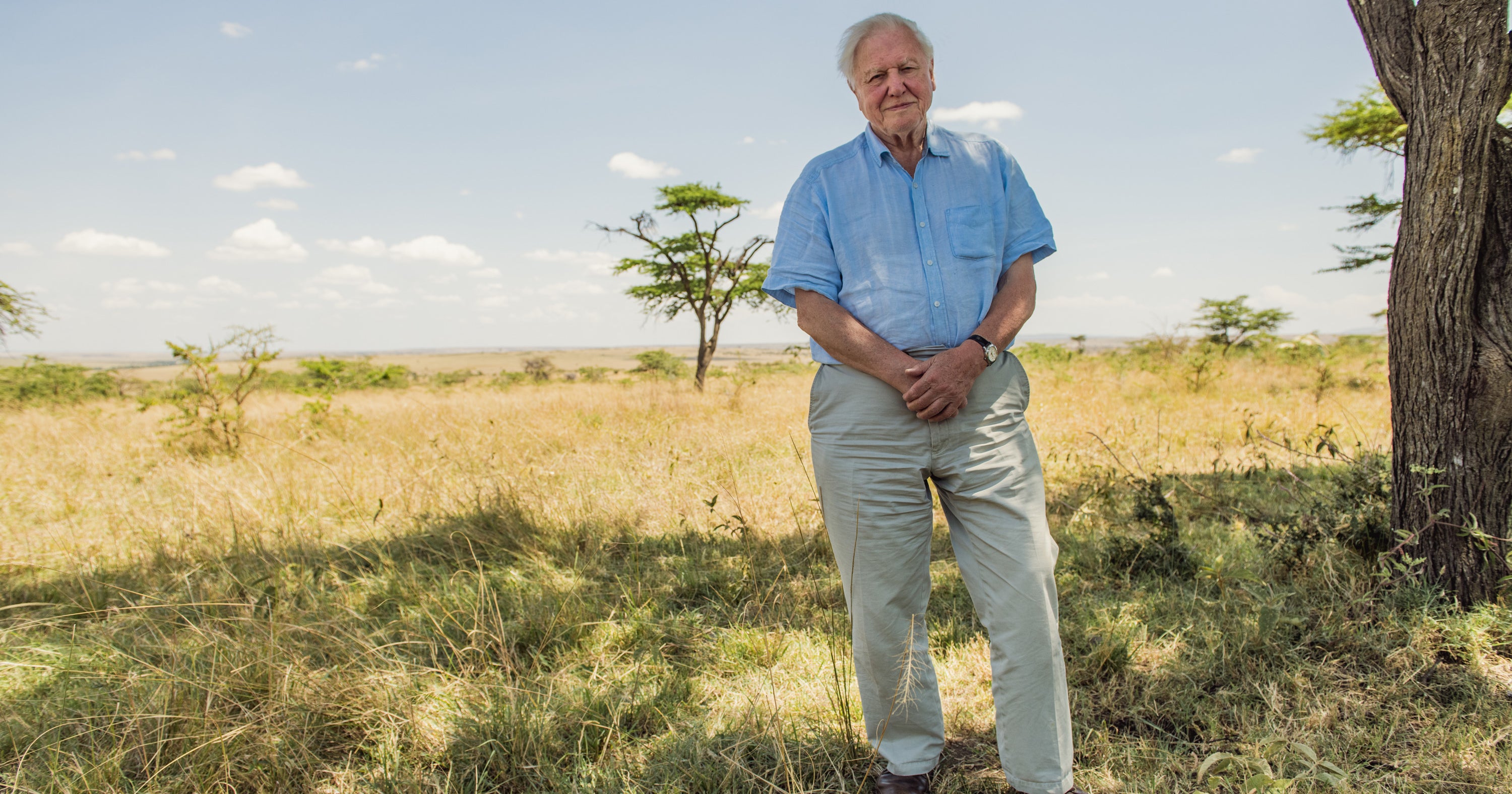 Netflix David Attenborough: A Life On Our Planet Review