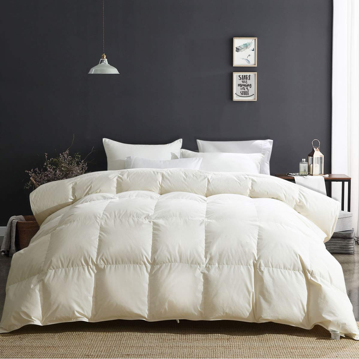 APSMILE + All Season Goose Down Comforter Duvet Insert