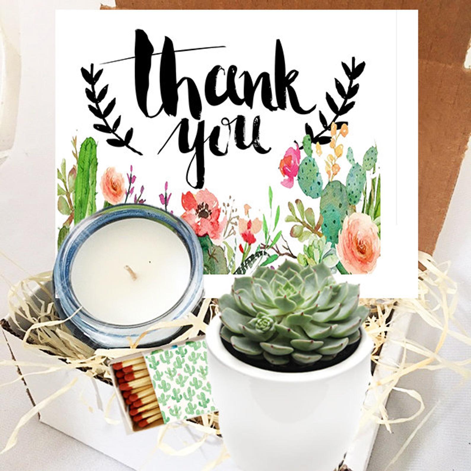 JTrockandlotus + Thank You Live Succulent Gift Box