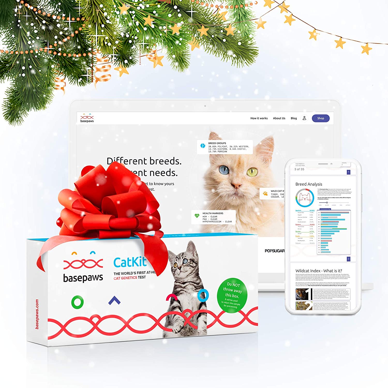 Basepaws + Cat DNA Test Kit