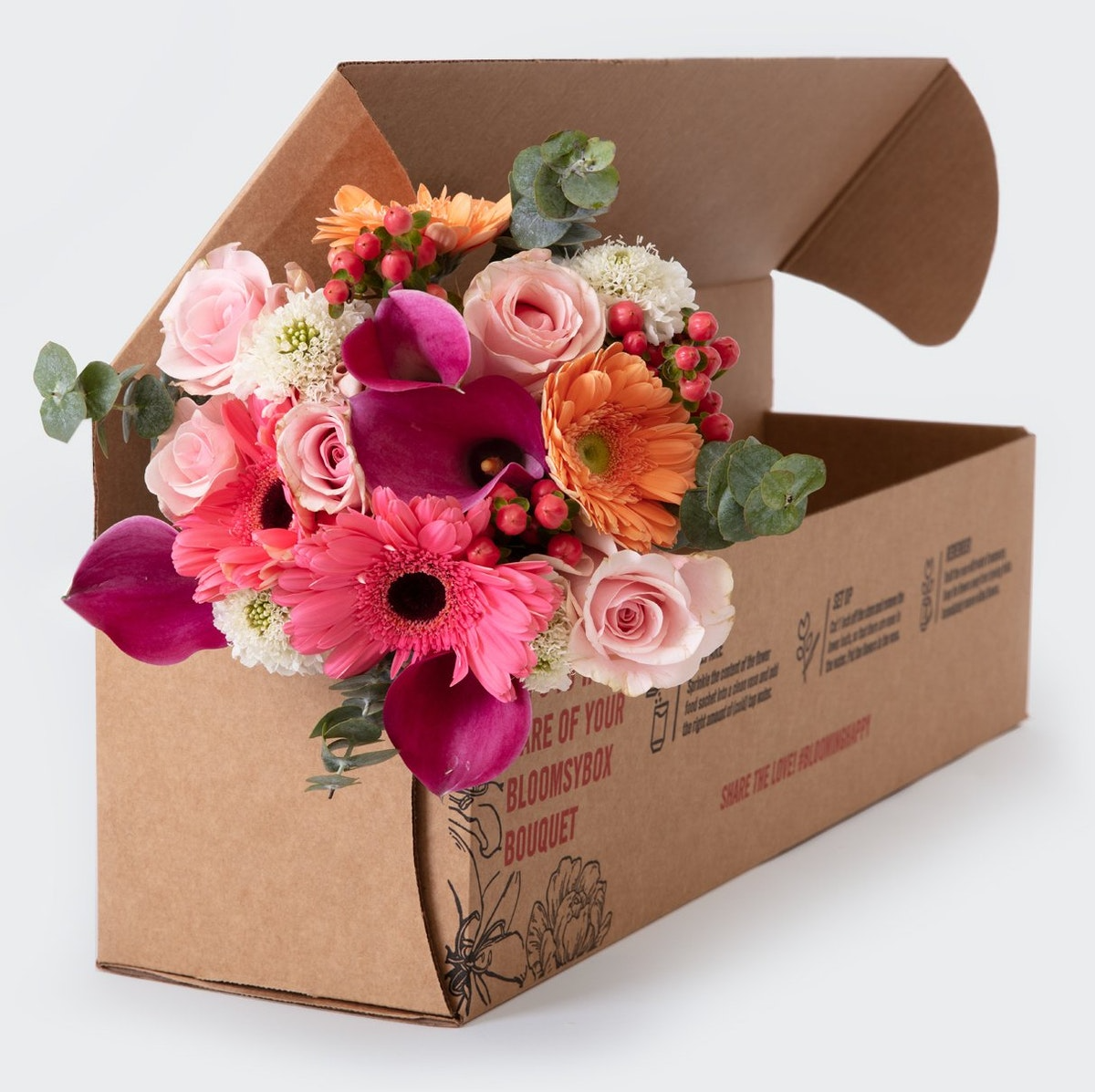 Bloomsy Box + Bloomsy Farm Classic