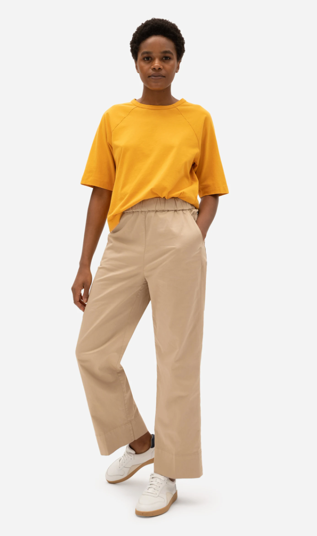 everlane chino