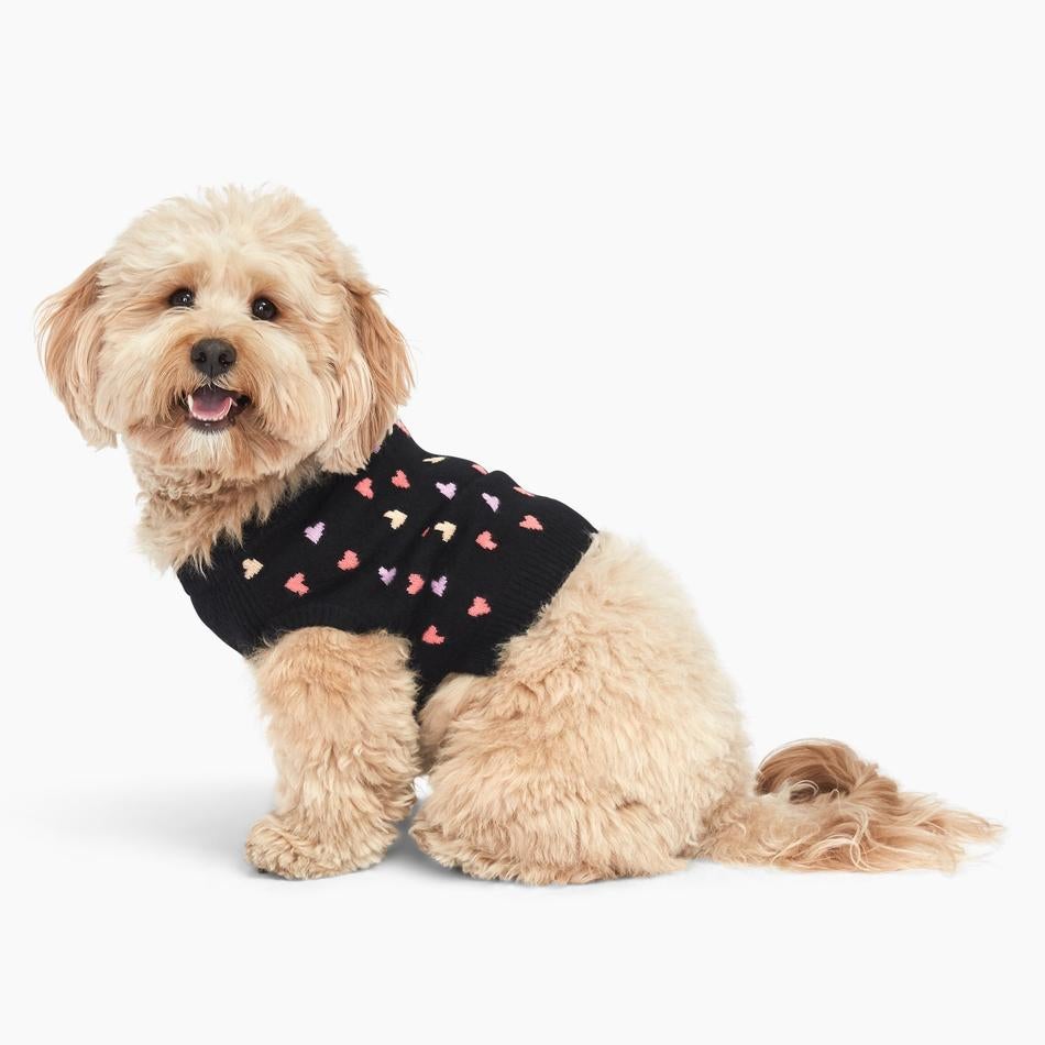 naadam dog sweater