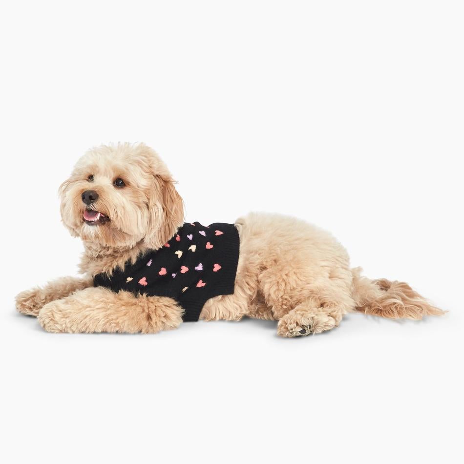 naadam dog sweater