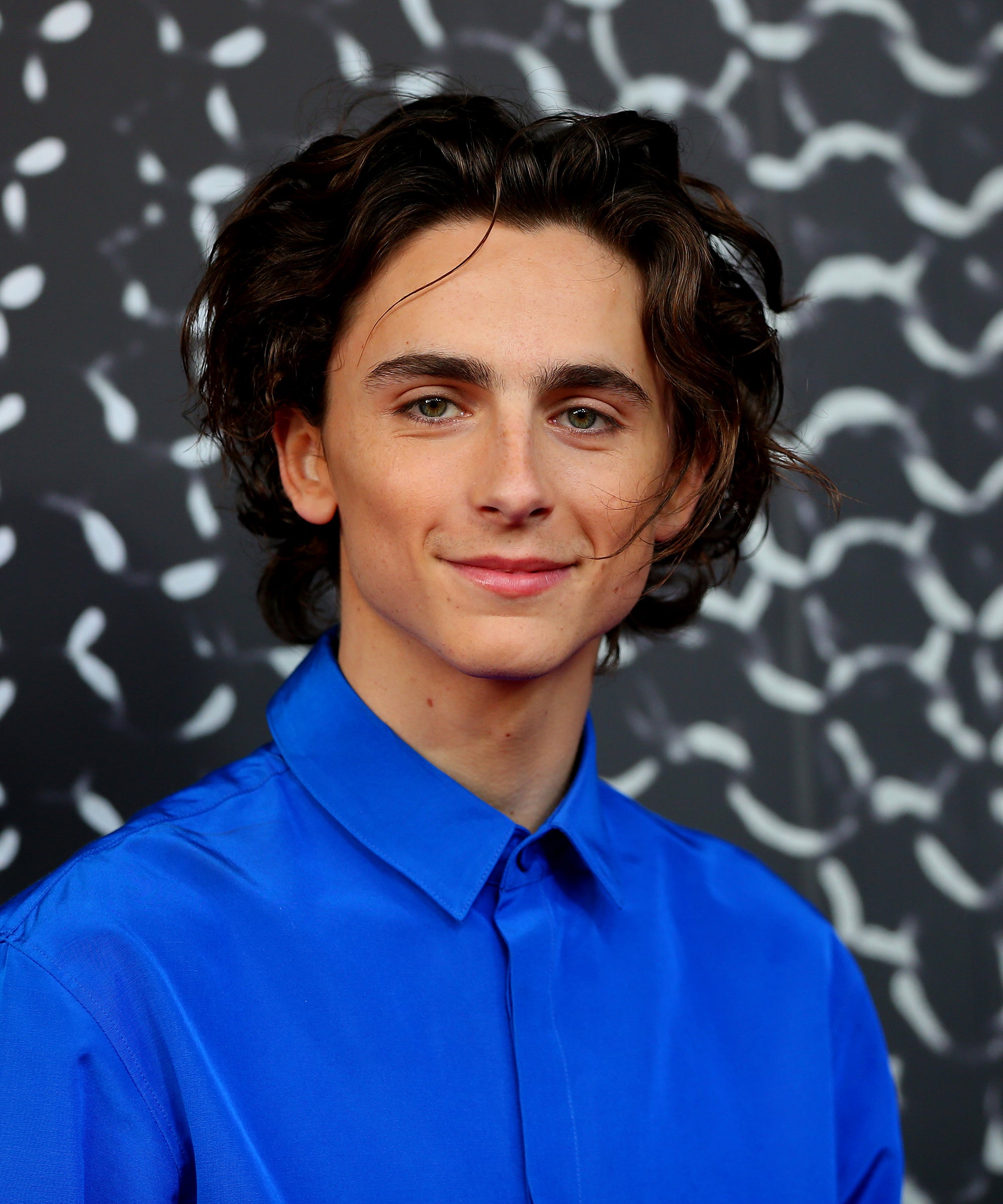 timothee chalamet super bowl