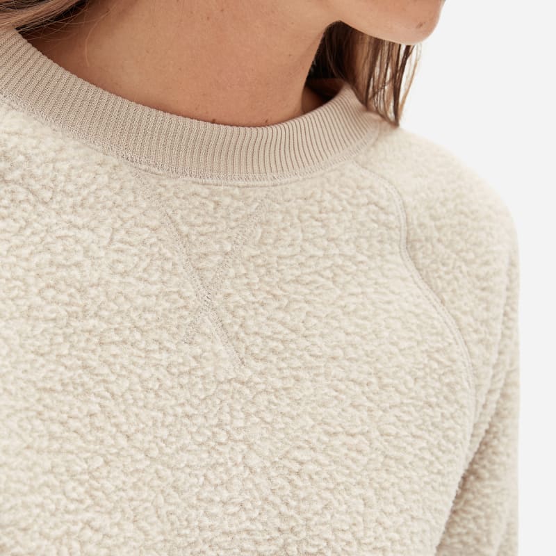 Everlane renew discount fleece raglan sweatshirt