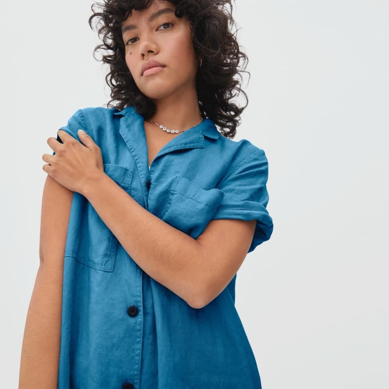 everlane workwear dress