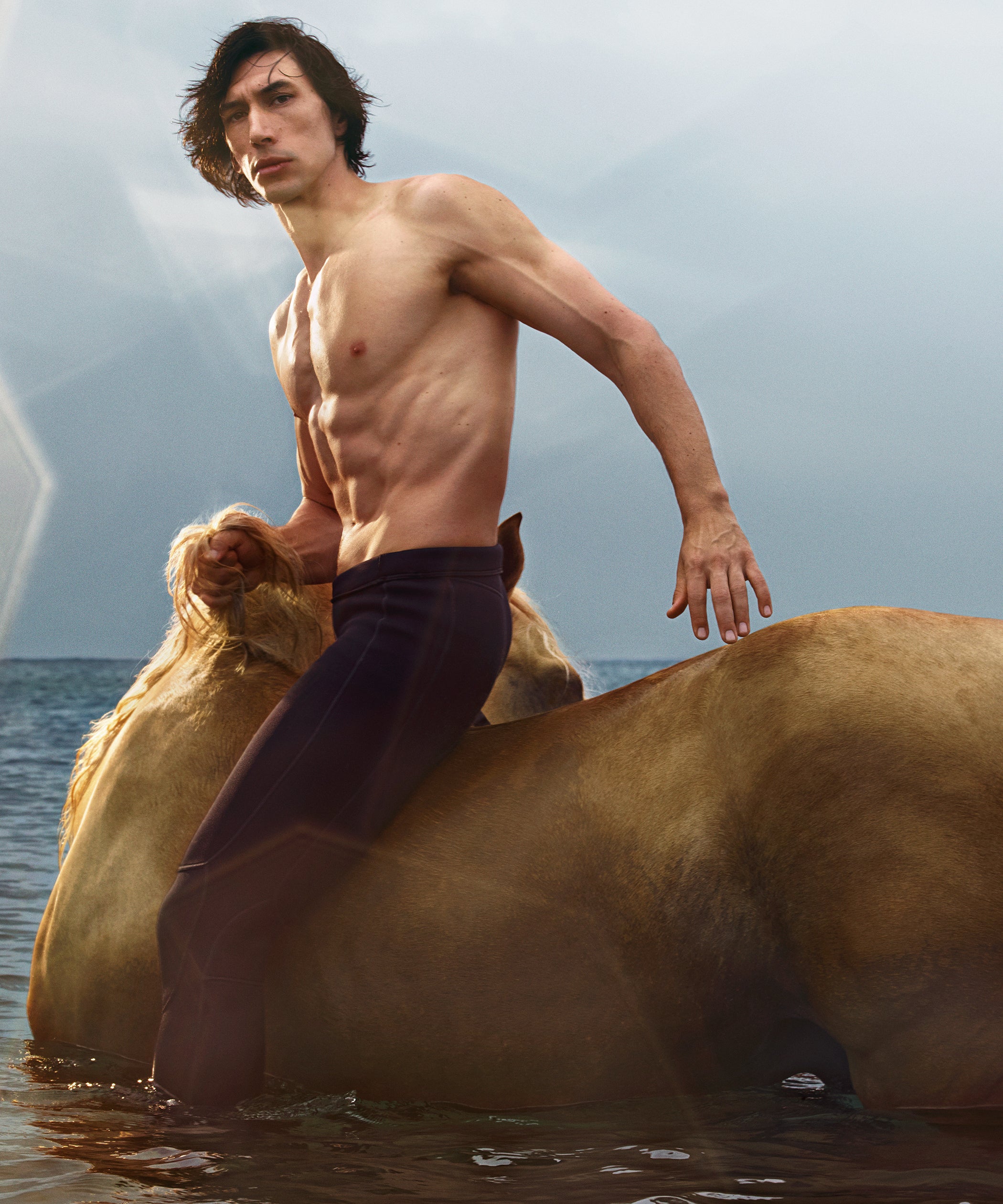 adam driver centaur burberry