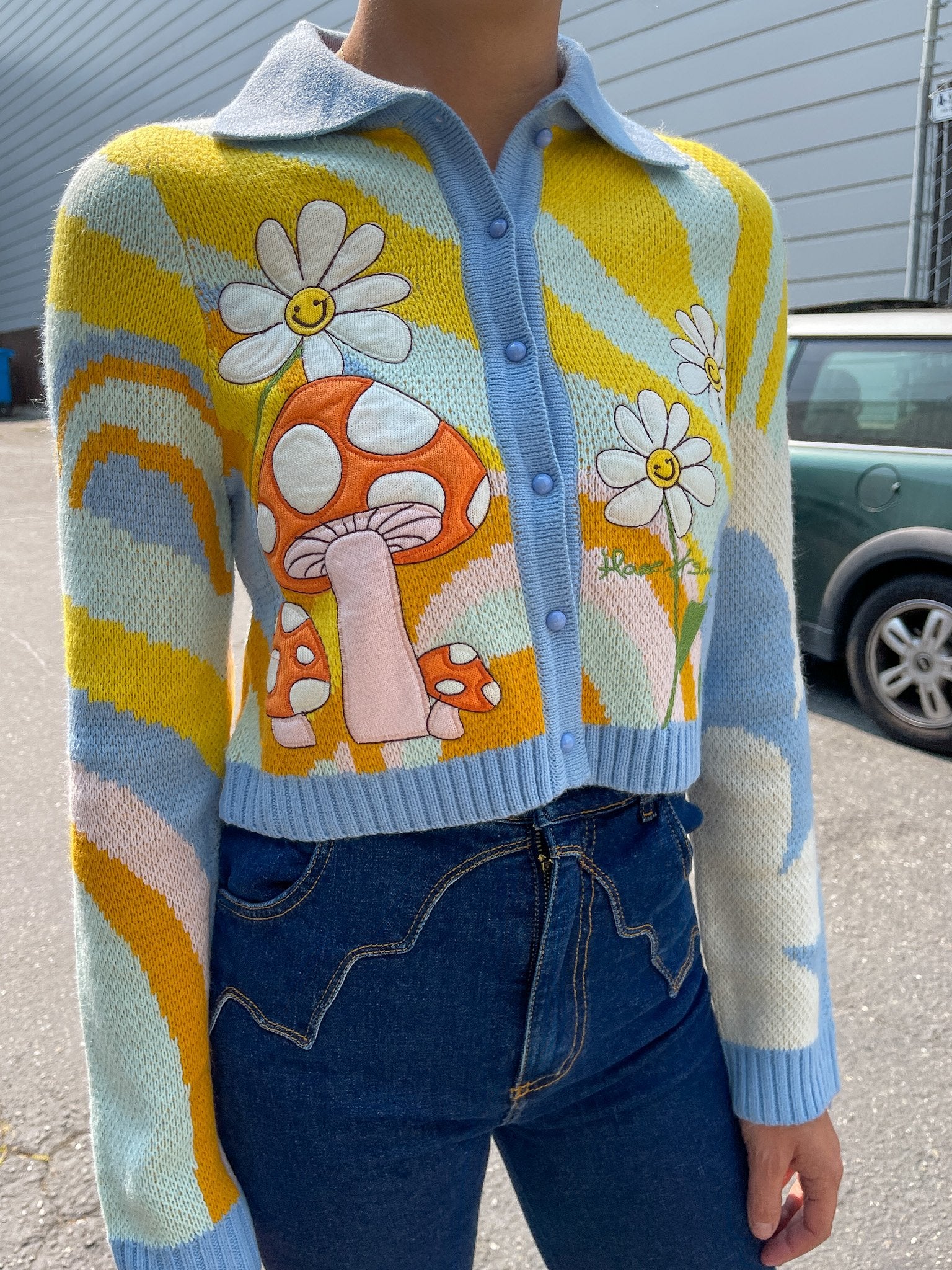 house of sunny mushroom cardigan