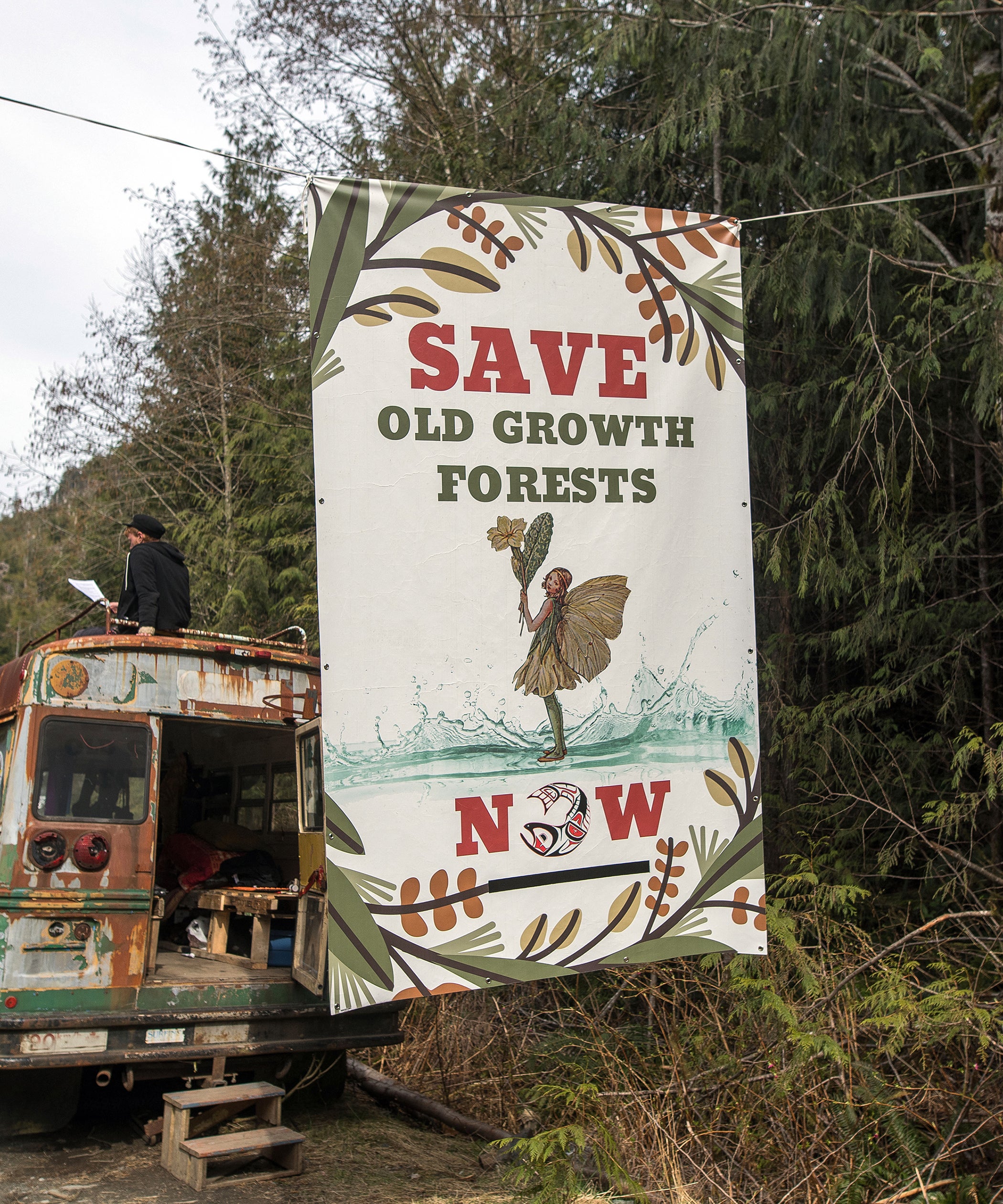 Low Productivity Old-Growth - Ancient Forest Alliance