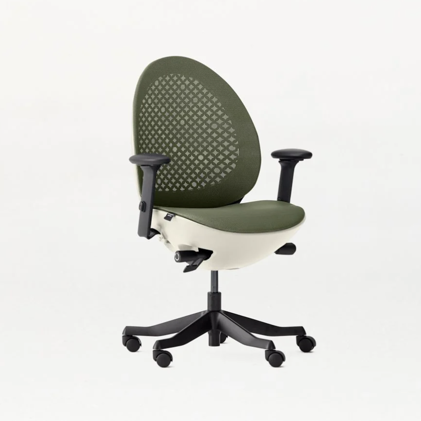 avochair amazon