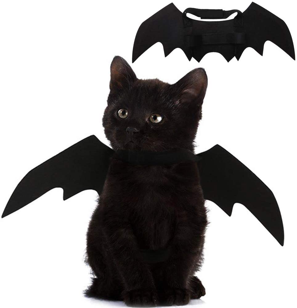 Puoyis + Pet Cat Bat Wings for Halloween