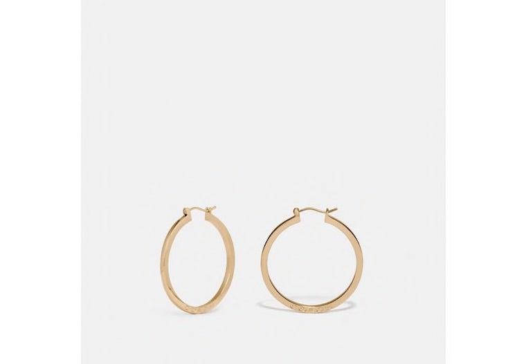 coach earrings hoops