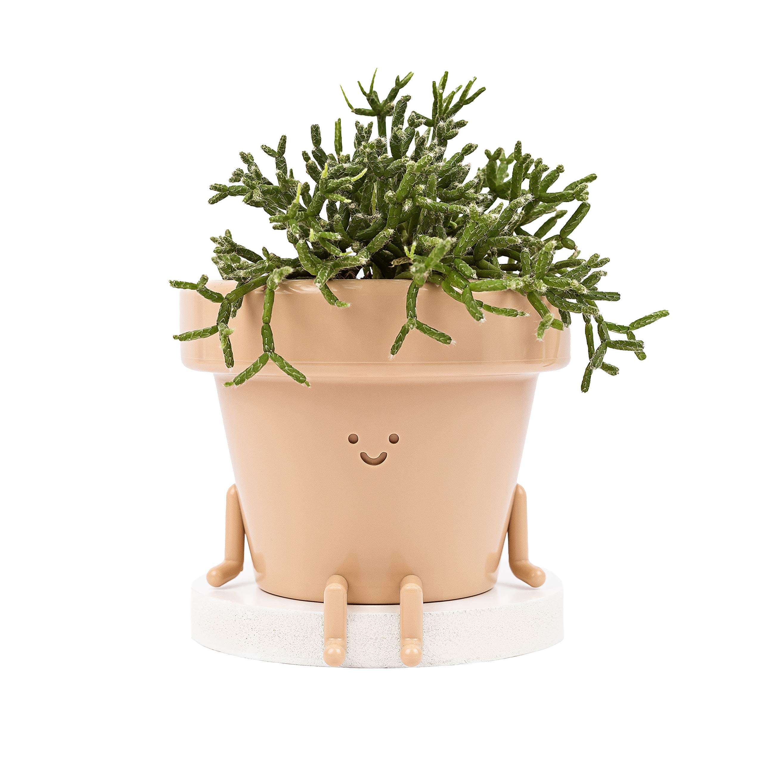 Original Earthlings Indoor Plant Pot Unique Cute Plastic Flower Pot with Face 35 inch Succulent/Cactus Planter Plant Lover Gift Decorative Novelty PLA