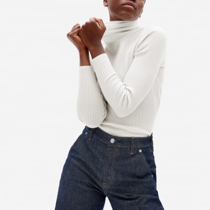 Everlane hot sale ribbed turtleneck