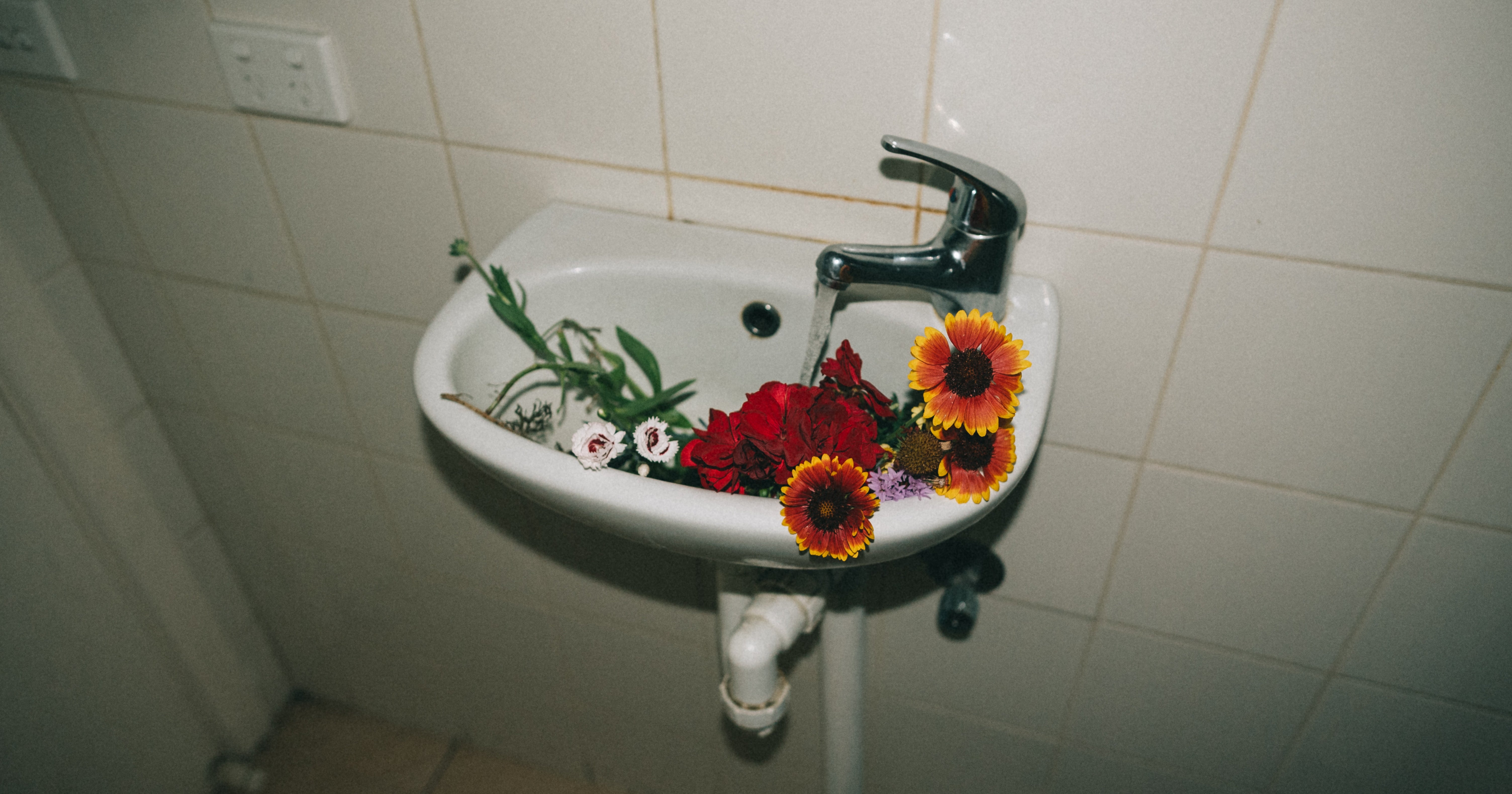 German Teen Bathroom - The Triggering Reemergence Of Tumblr