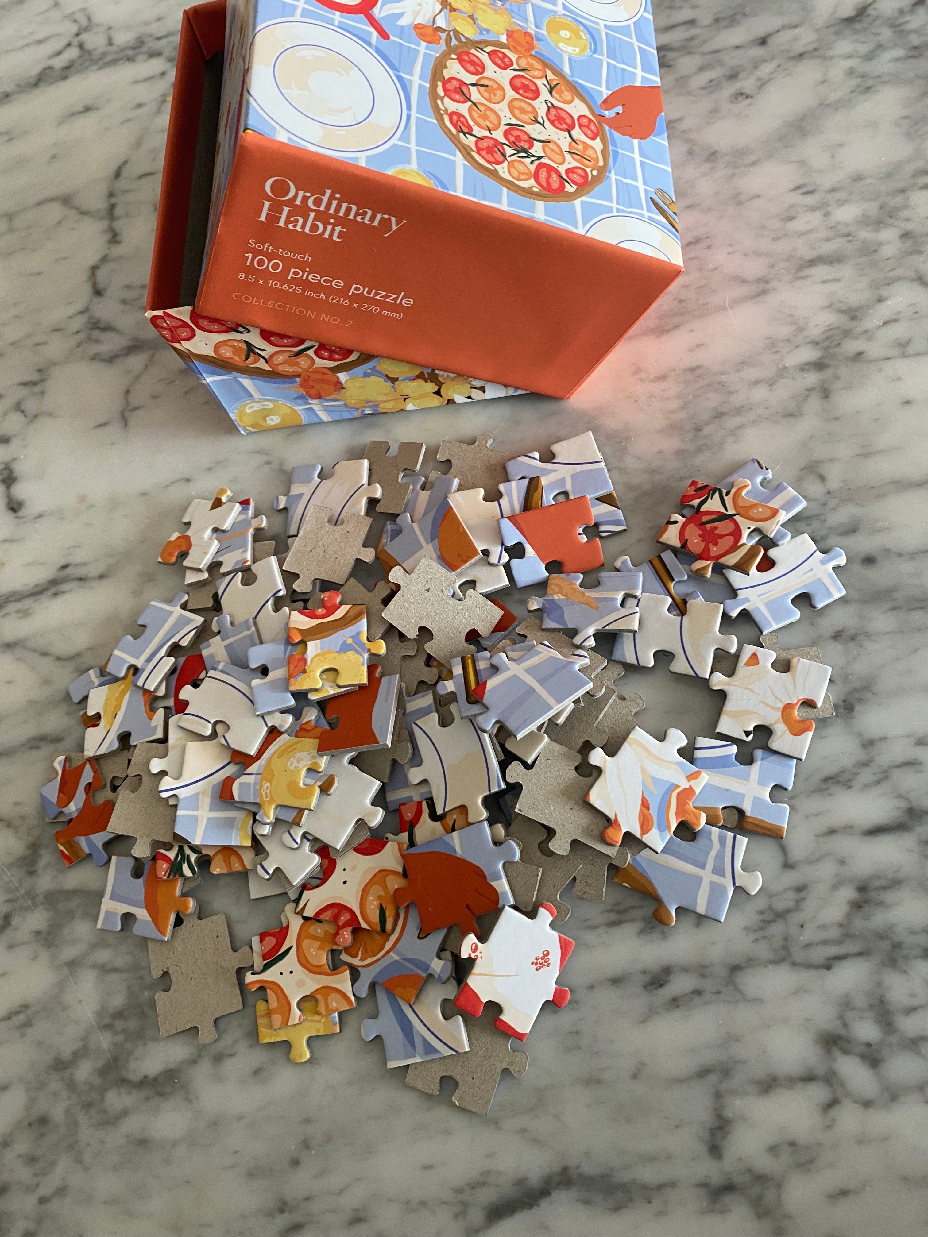 Ordinary Habit 100 Piece Puzzle - Magical New York
