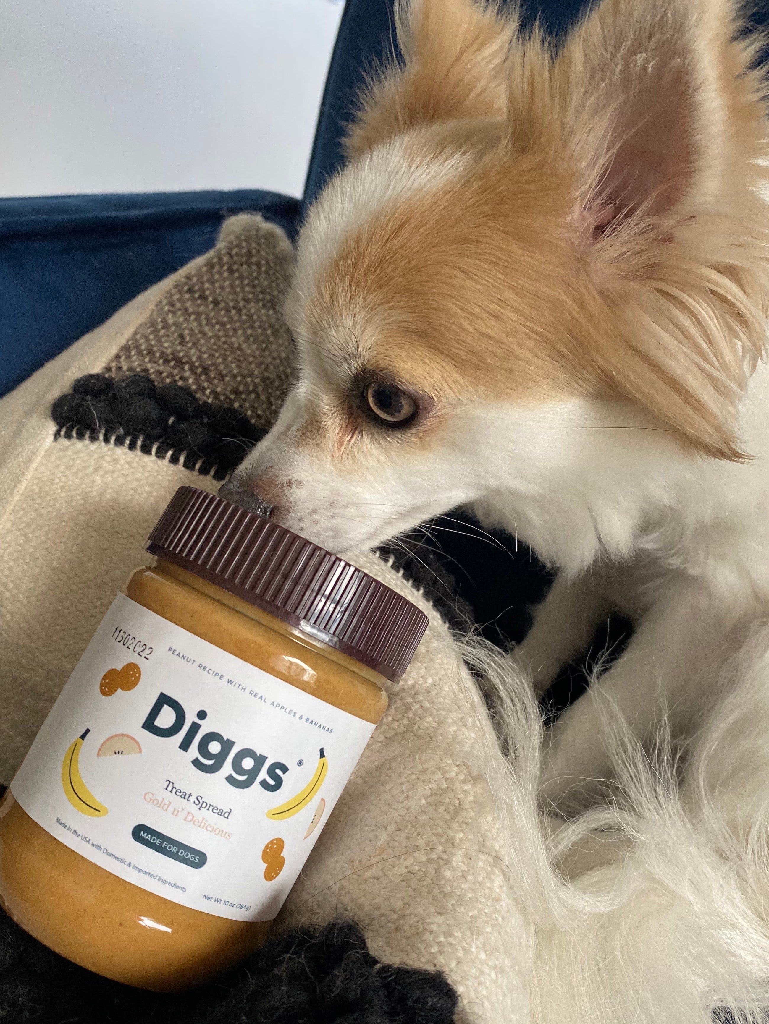 Diggs Treat Spreads