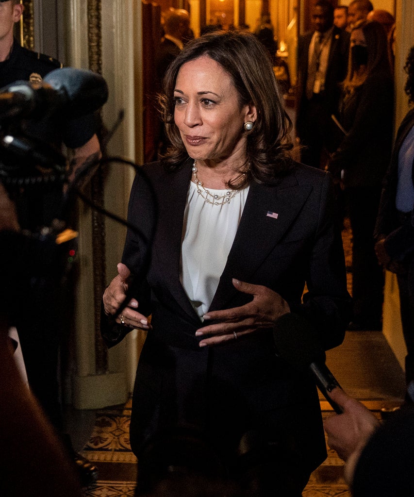 Kamala Harris On Forcing People To Stay Pregnant: “Women Are Dying”