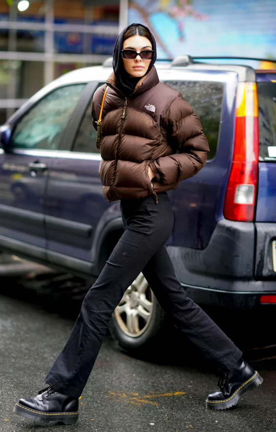 Kendall Jenner North Face Jacket | Brown Puffer Jacket
