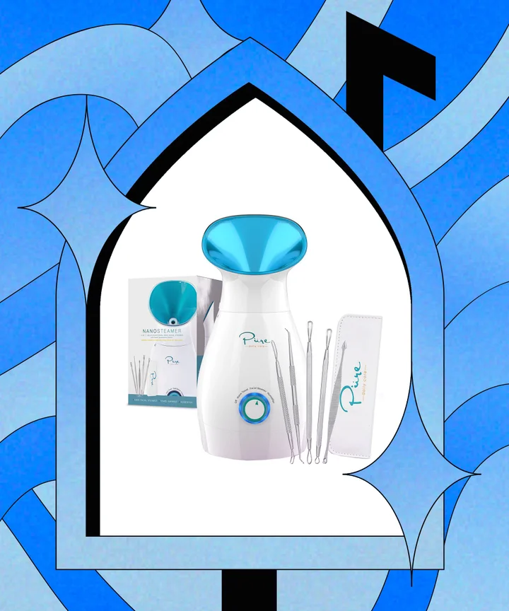 Pure Daily Care Pure Nano Ionic Upgraded Warm Mist Facial Steamer For  Face,Sinuses And Skin Care : : Beauty
