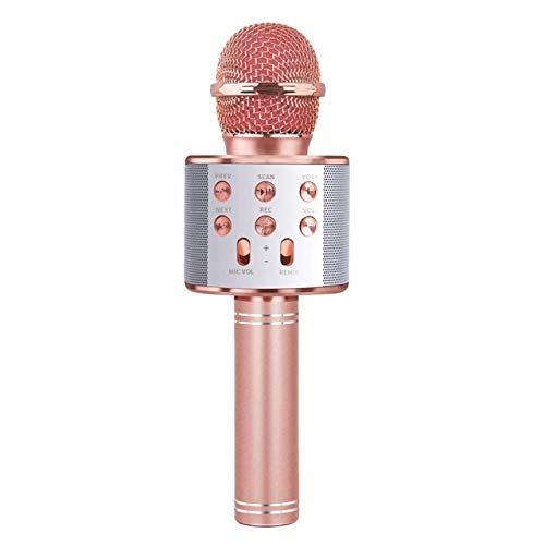 Ashintar Anji + Wireless Bluetooth Karaoke Microphone