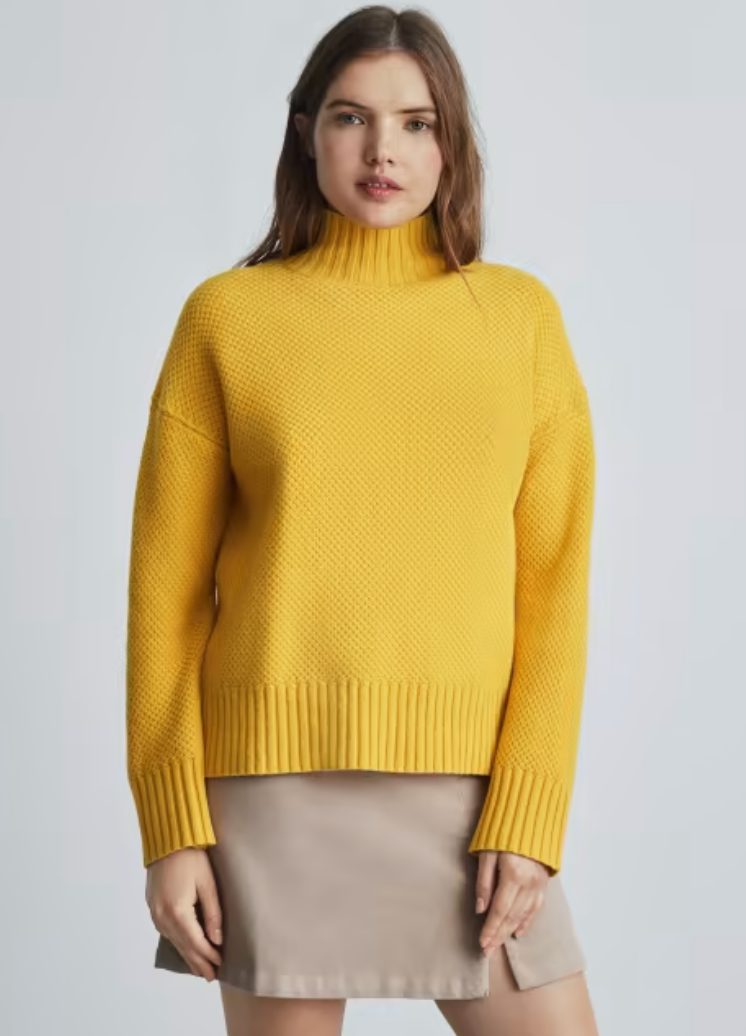 Everlane + The Oversized Stroopwafel Turtleneck in ReCashmere