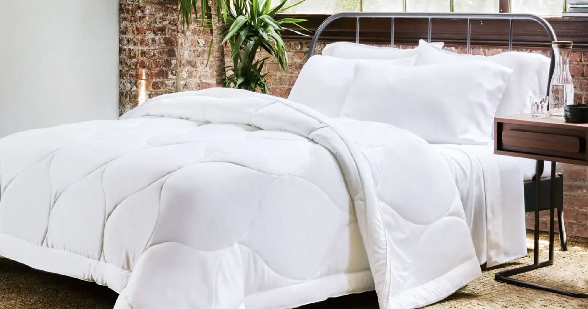 canadian down & feather company white goose down summer duvet