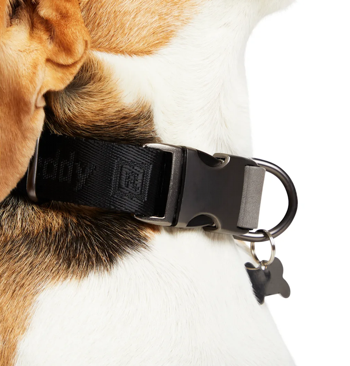 Ruby Dog Collar – The Foggy Dog
