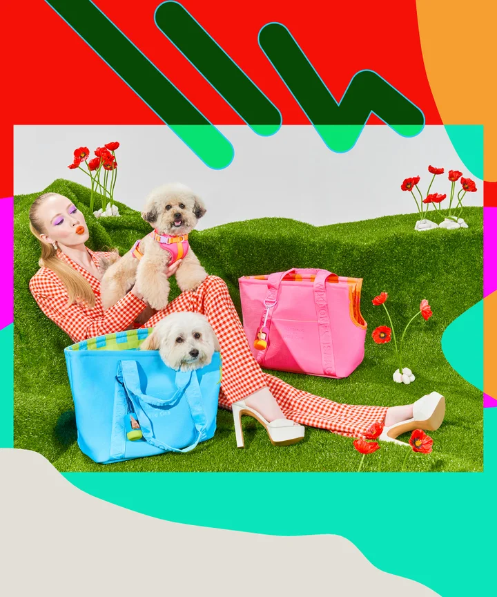 How Fashion Designer Isaac Mizrahi Met His Furry Soulmate — Dog