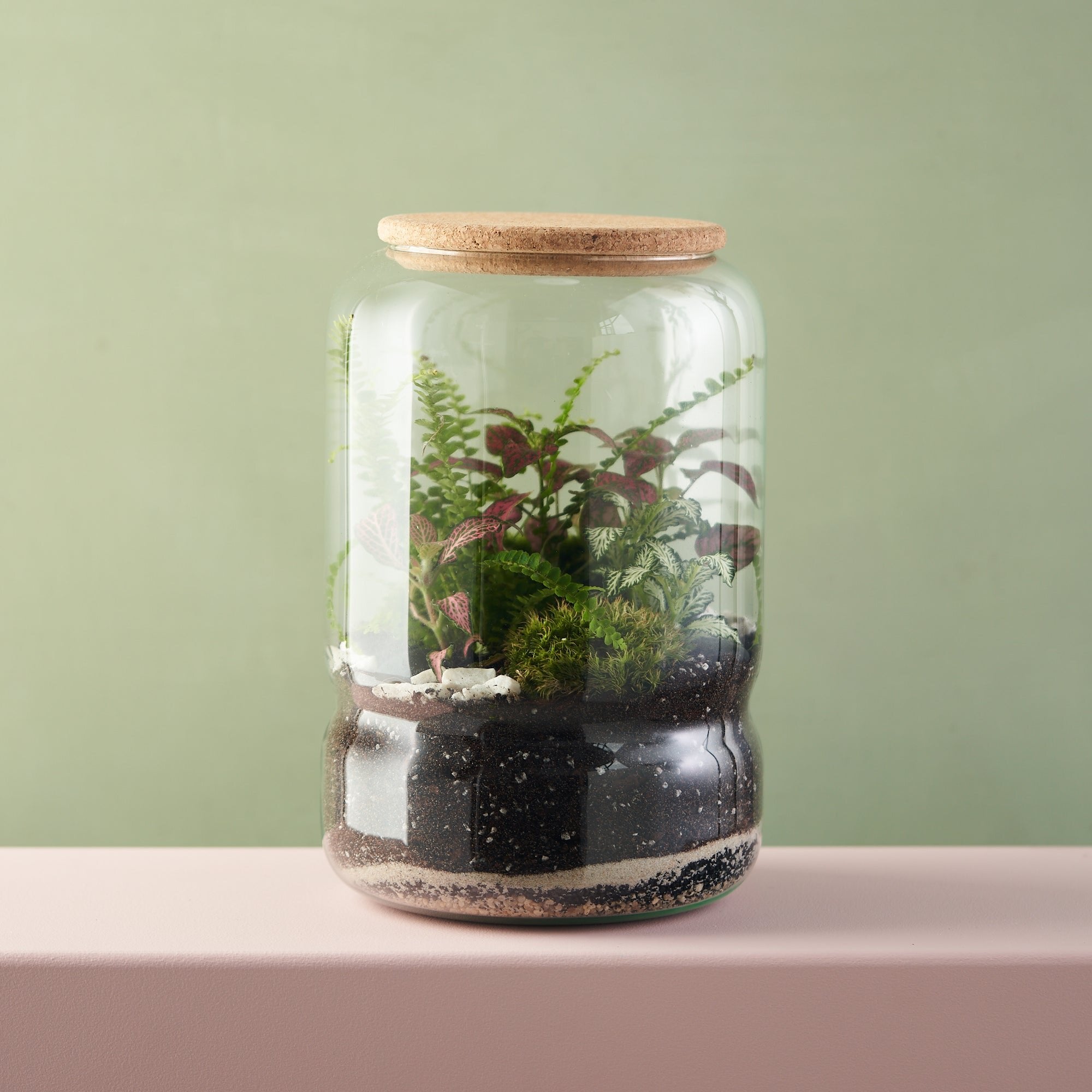 Green & Wild + Recycled Glass Terrarium Kit