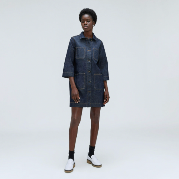 Everlane + The Denim Chore Dress