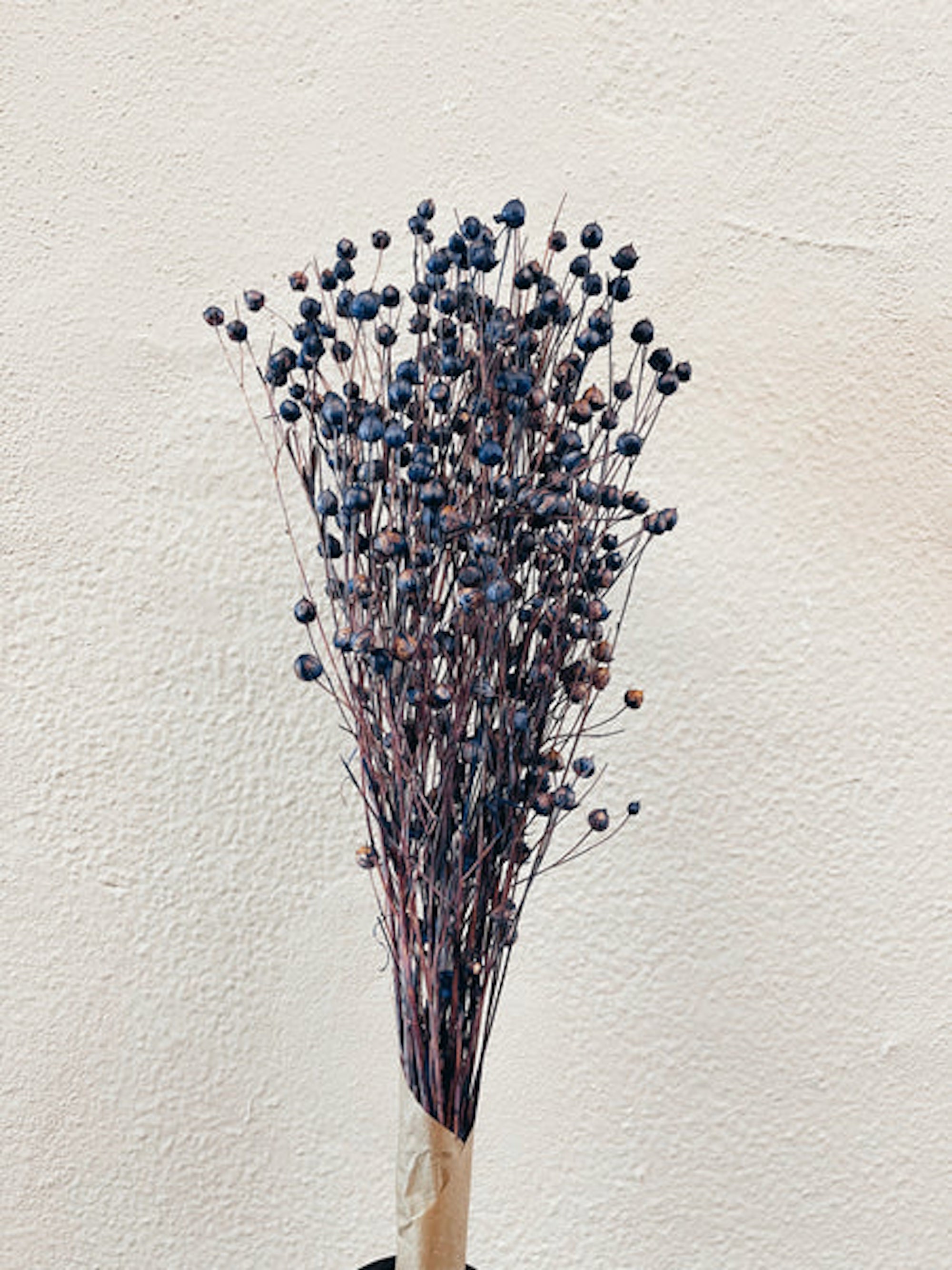 Dried Flowers Linum Purple Dried Flowers 2669