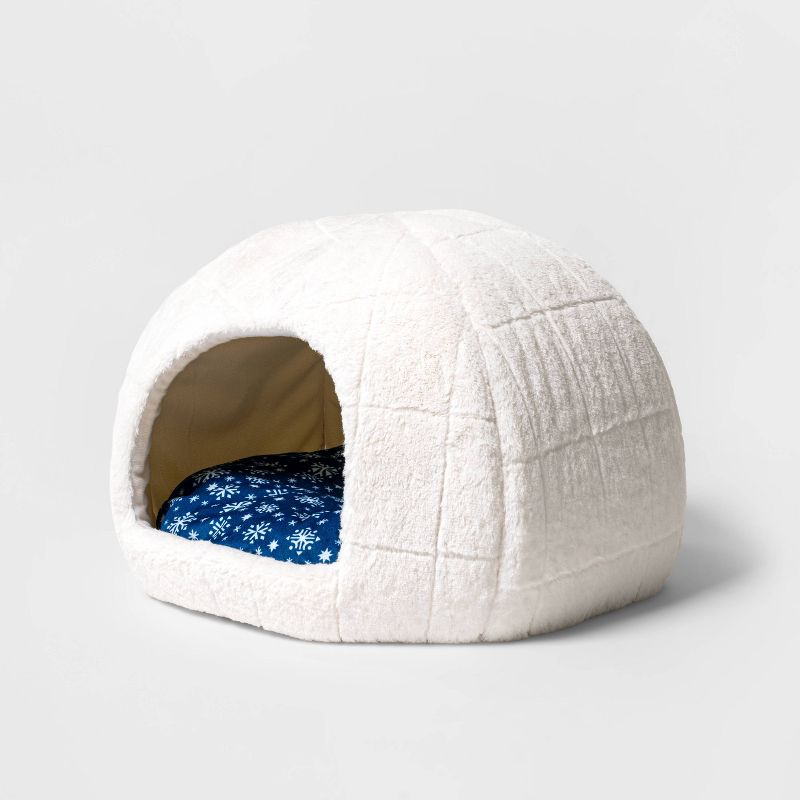 Cat igloo 2025