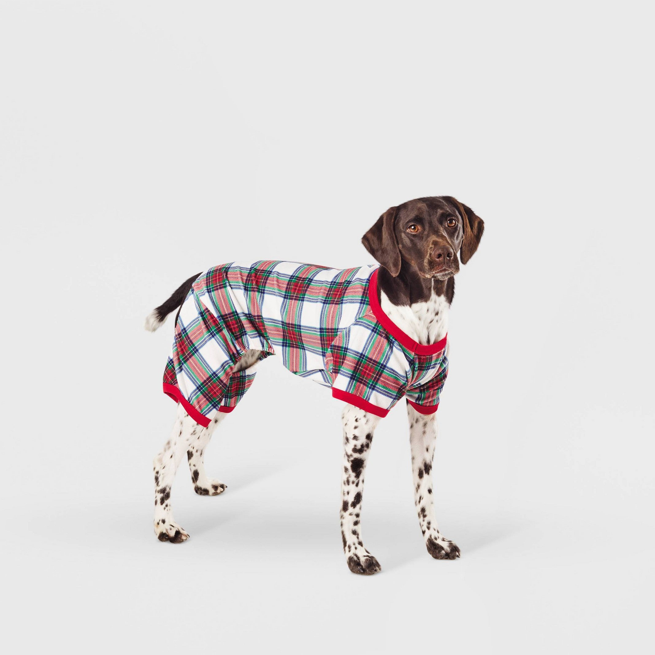 Family pj sets with dog hot sale