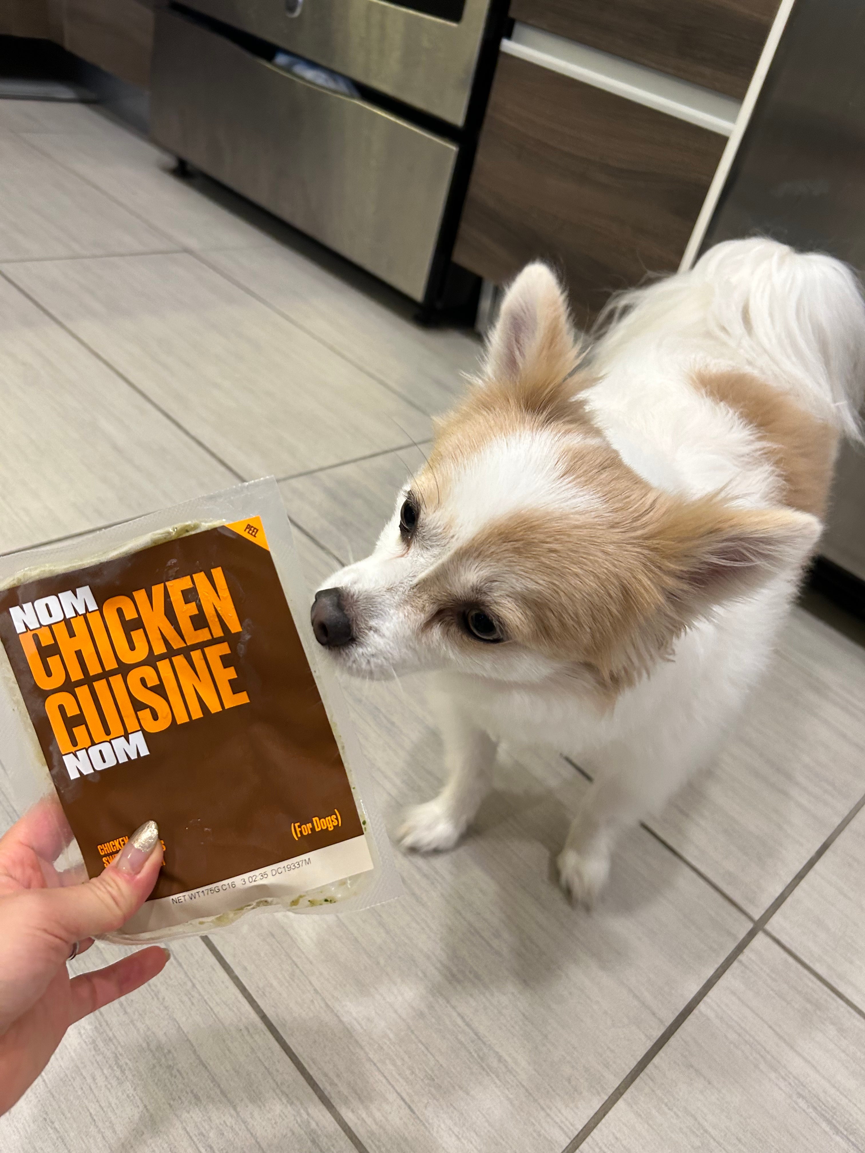 Nom Nom dog food review: Should you switch? - Reviewed