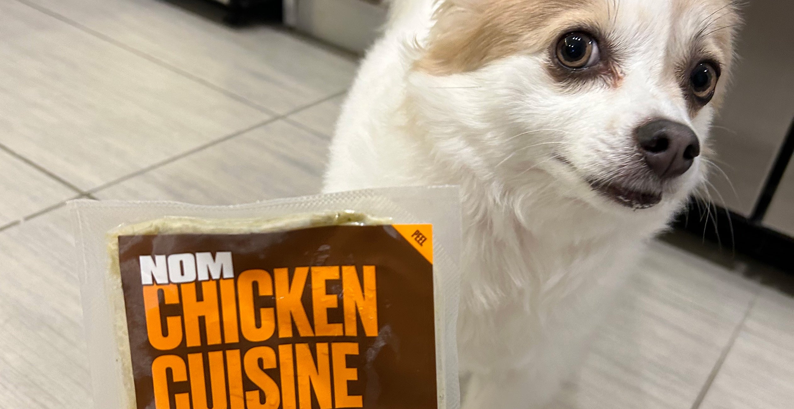 Nom Nom Dog Food Healthy Fresh Diet For Pets Review