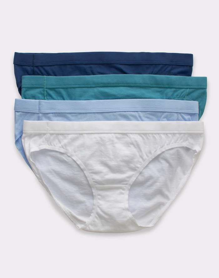 Hanes Pure Comfort Women's Brief Underwear, Moisture-Wicking, 6-Pack