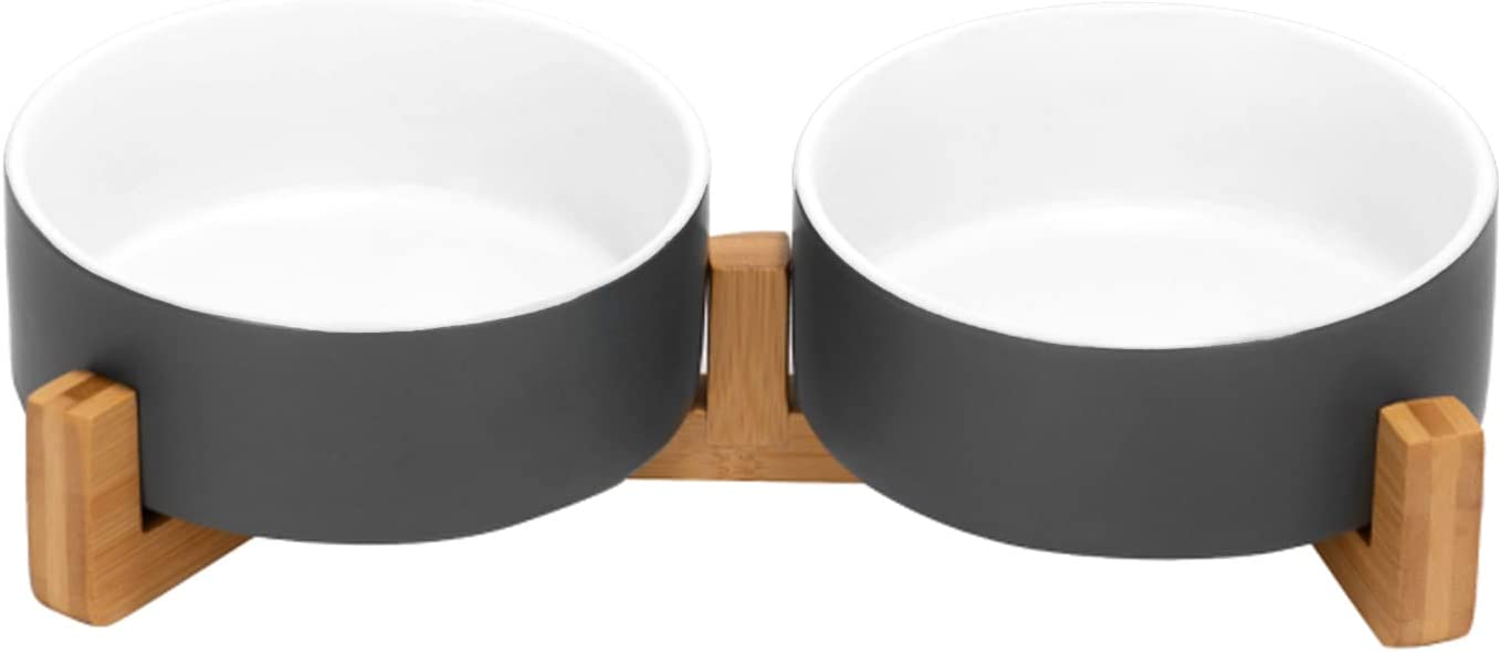 Premium Ceramic Dog Bowls & Cat Bowls – SpunkyJunky