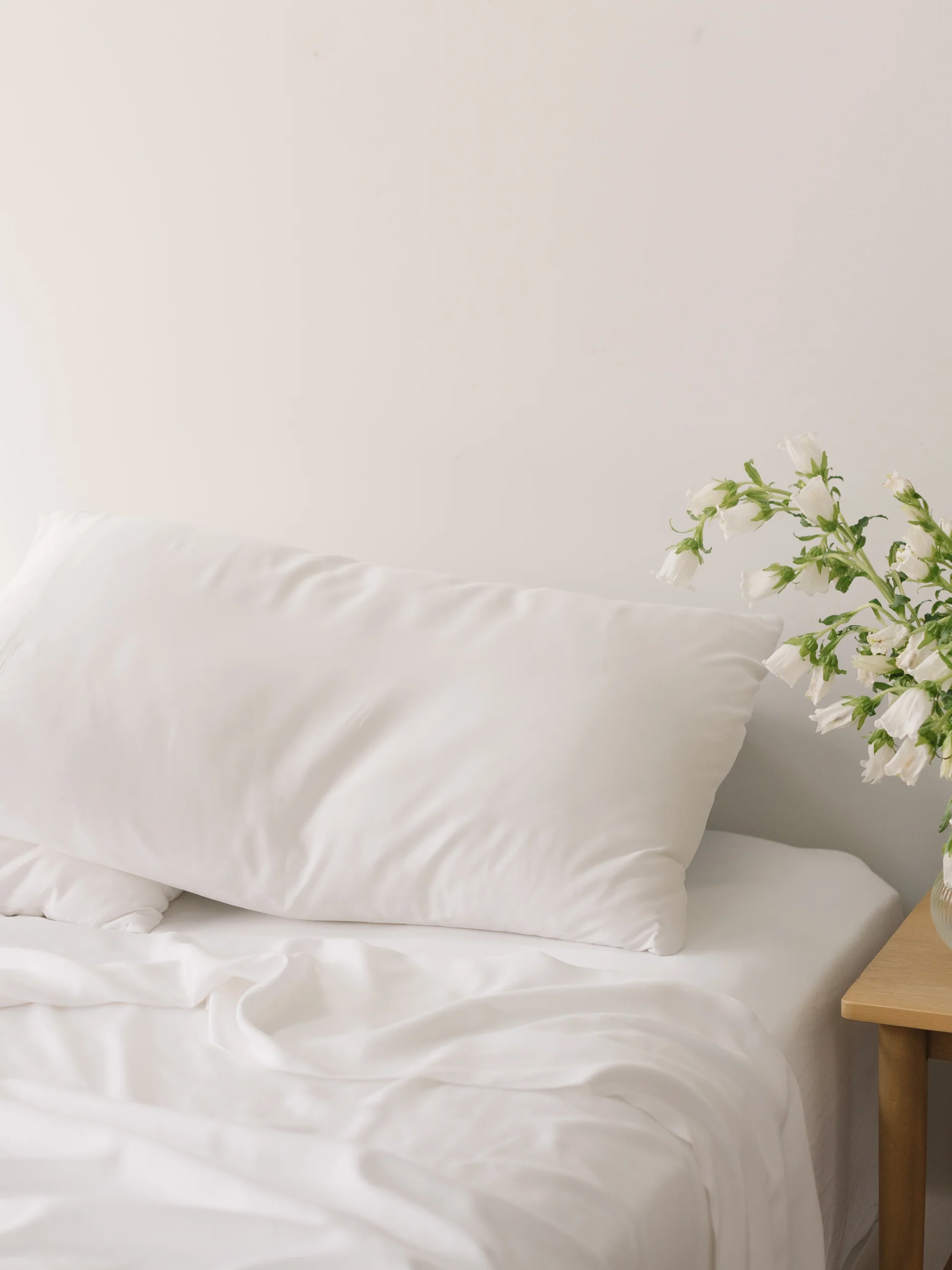 Cozy Earth + Bamboo Sheet Set