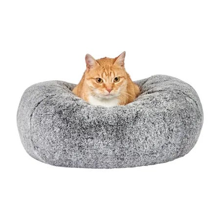 Petbarn beds sale