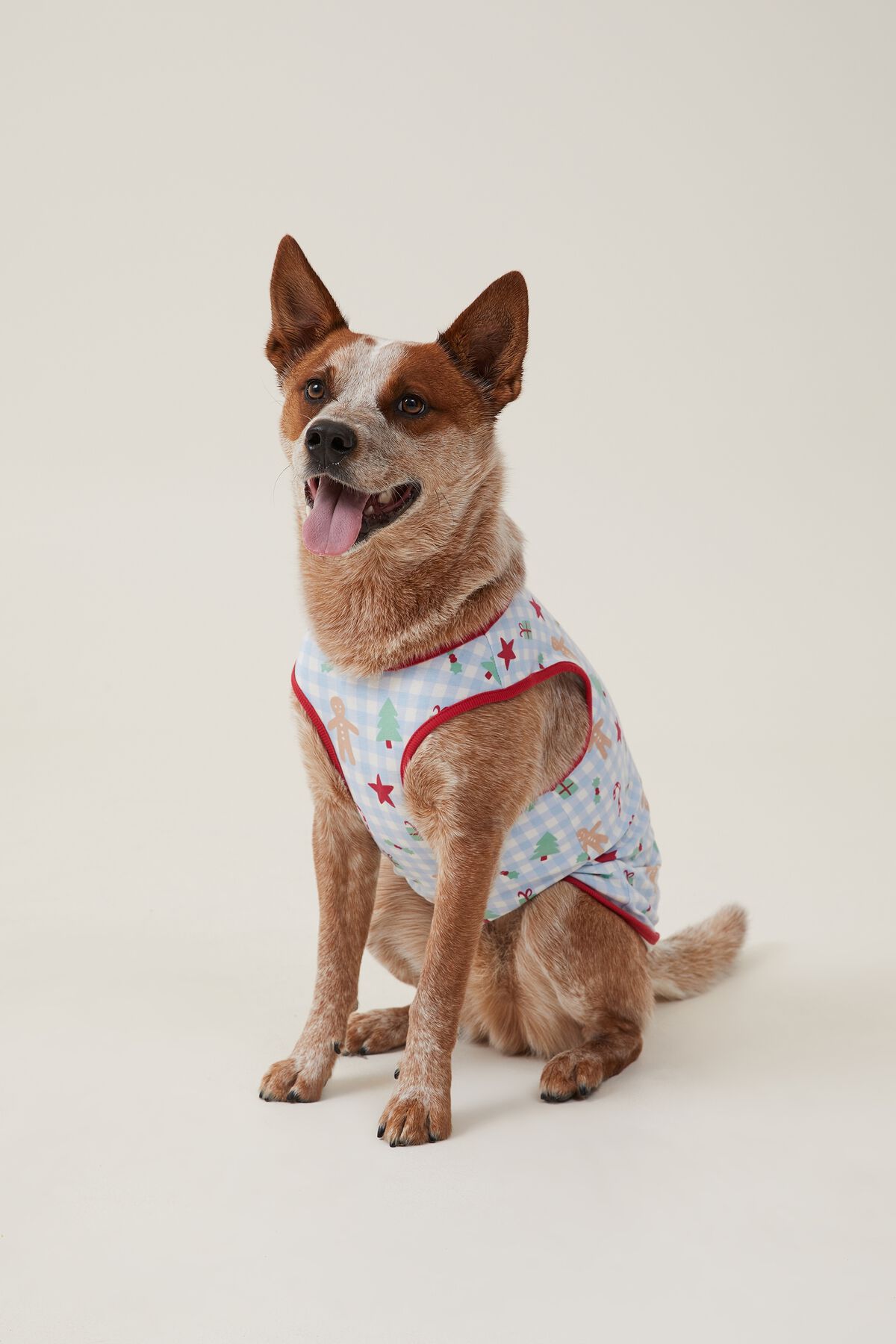 Petbarn dog clearance jumpers