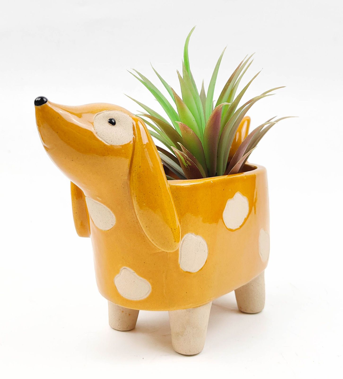 Urban Products + Dog Planter