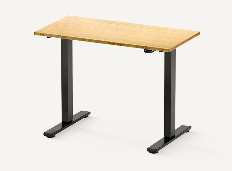 Flexispot + E2 Essential Standing Desk