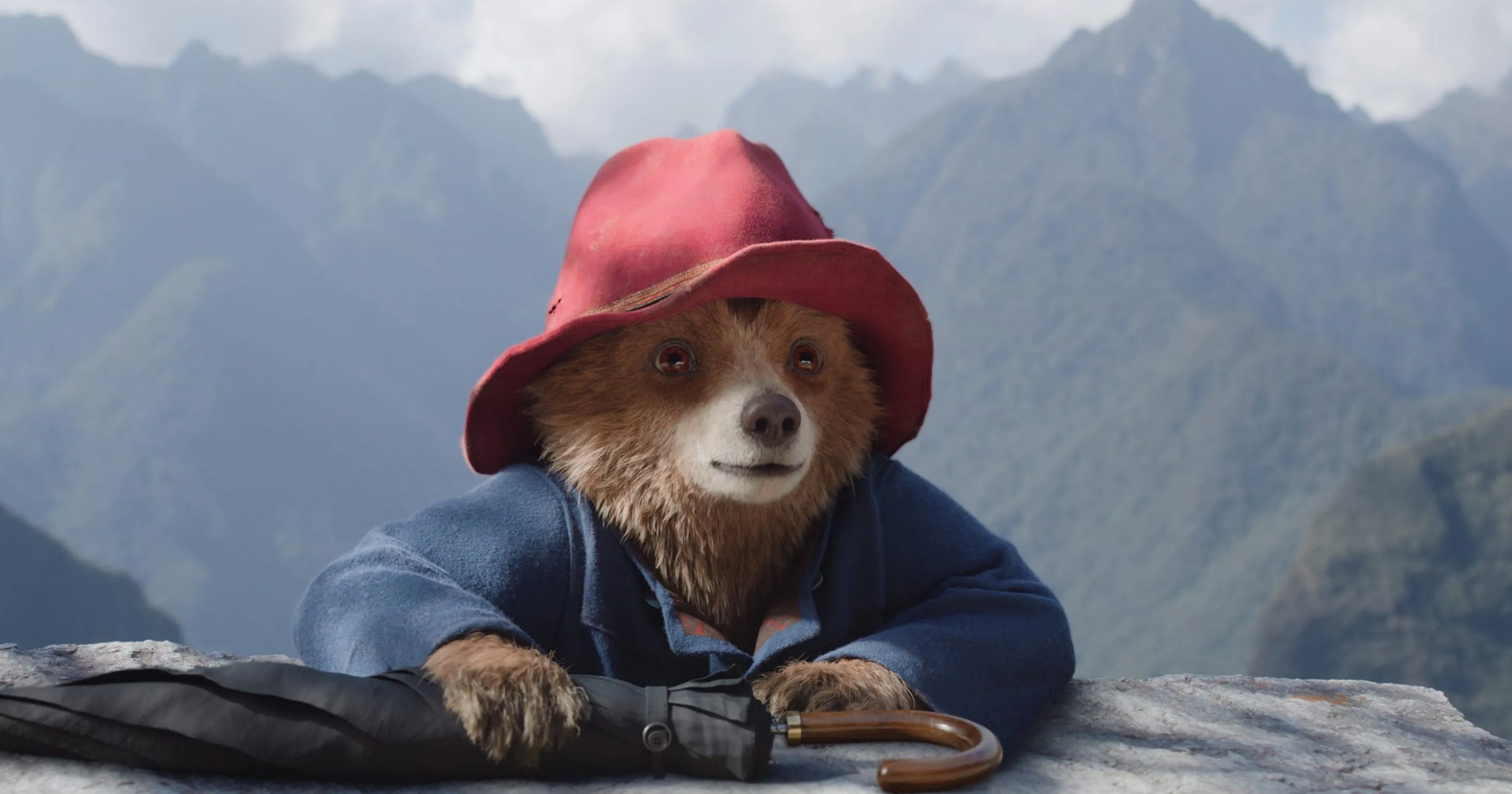 How Paddington Became an Unexpected Latine Icon