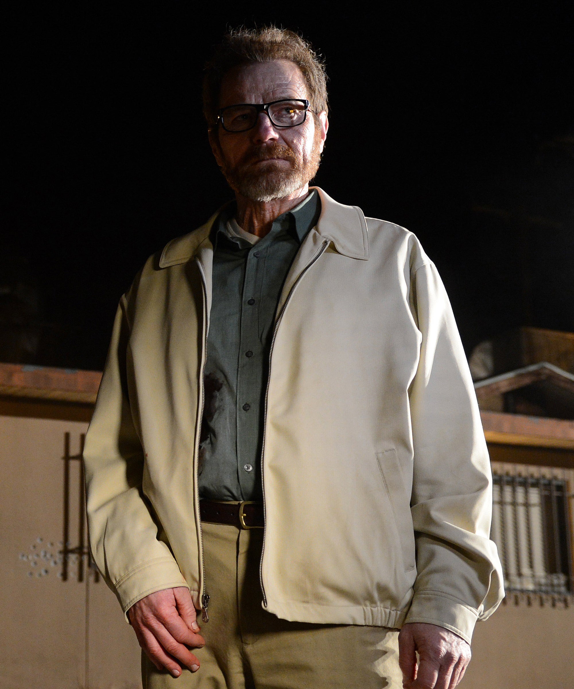 Walter White Standing