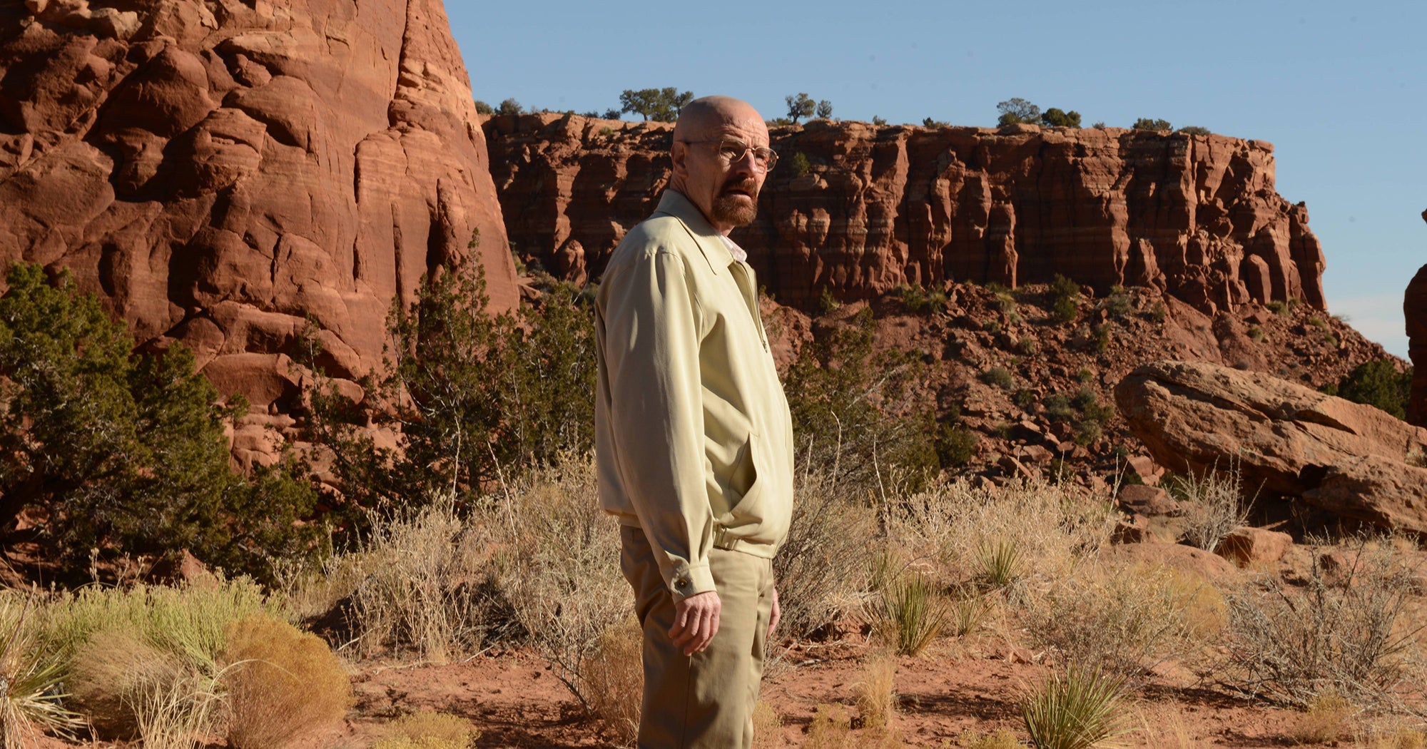 What Happened In The Breaking Bad Series Finale Recap   8555374 