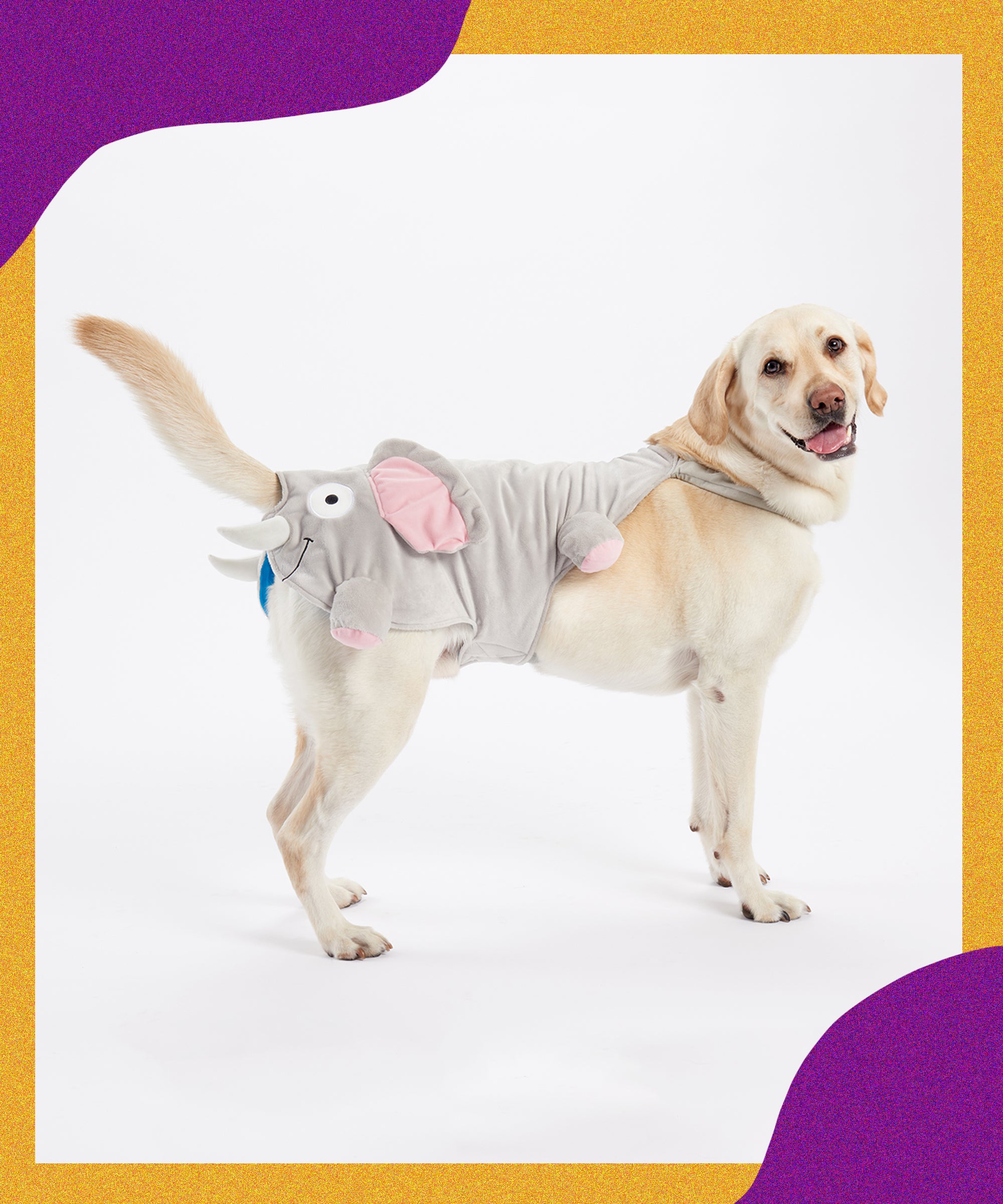 Elephant dog best sale halloween costumes